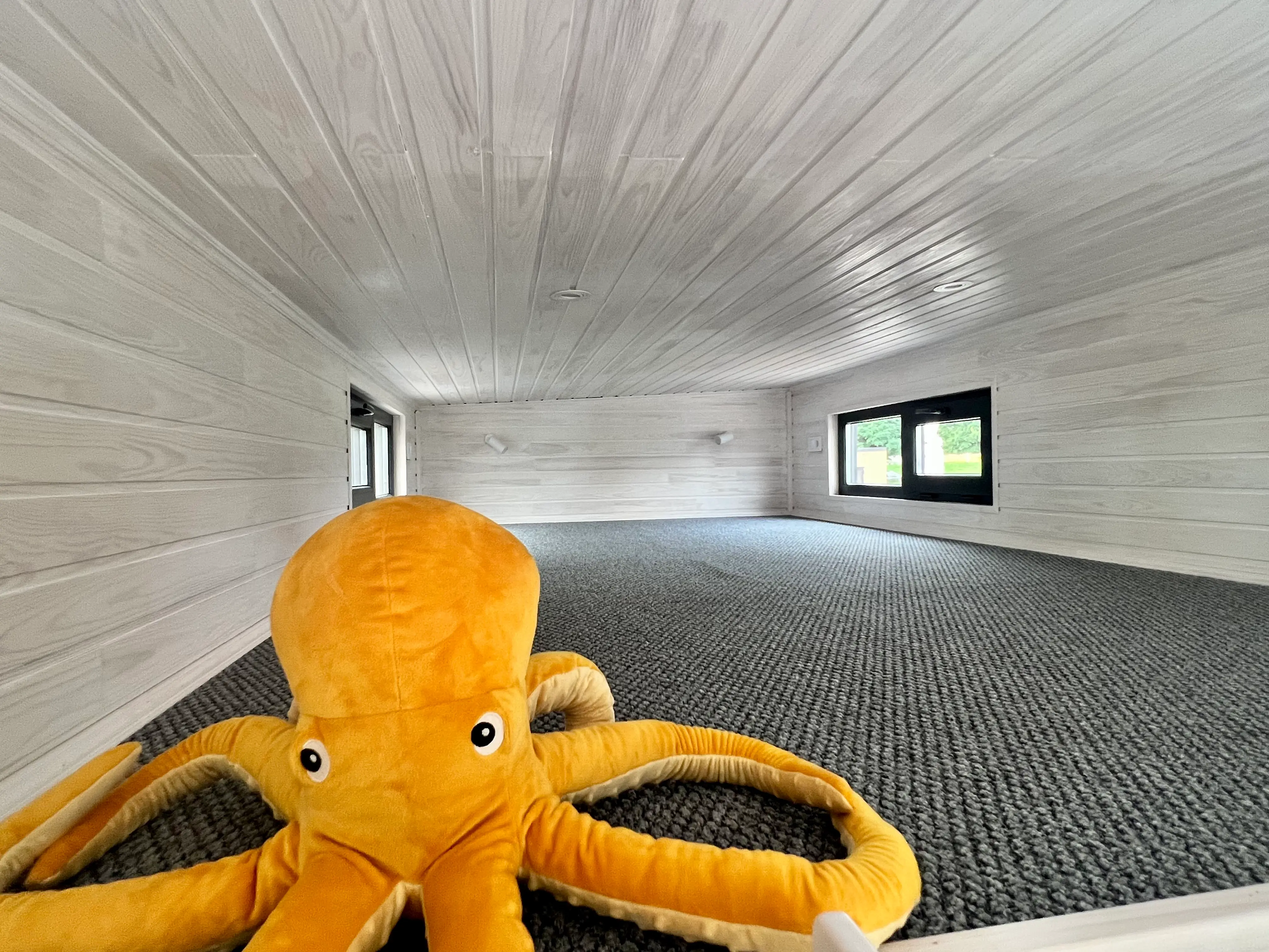 Tiny House, Containerhuis, Modulair huis, Mini-huis, 25 m2, SIP-technologie - SIP Model Tiny House, Containerhuis, Modulair huis, Mini-huis, 25 m2, SIP-technologie - SIP Model